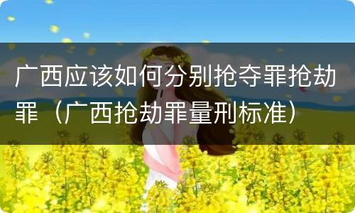 广西应该如何分别抢夺罪抢劫罪（广西抢劫罪量刑标准）