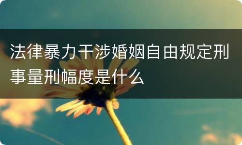 法律暴力干涉婚姻自由规定刑事量刑幅度是什么