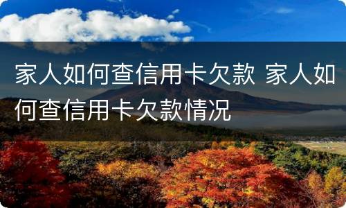 家人如何查信用卡欠款 家人如何查信用卡欠款情况