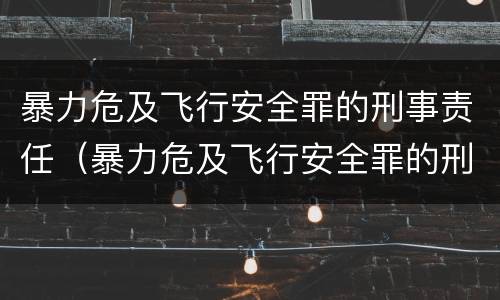暴力危及飞行安全罪的刑事责任（暴力危及飞行安全罪的刑事责任主体）