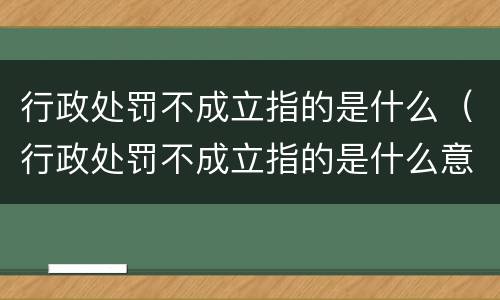 行政处罚不成立指的是什么（行政处罚不成立指的是什么意思）