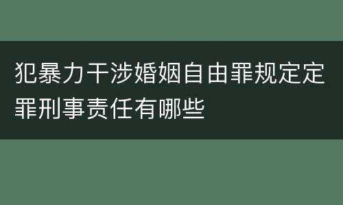 犯暴力干涉婚姻自由罪规定定罪刑事责任有哪些