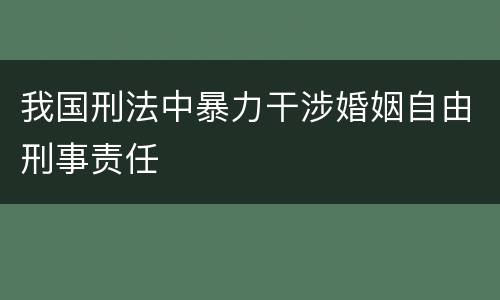 我国刑法中暴力干涉婚姻自由刑事责任