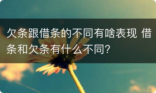 欠条跟借条的不同有啥表现 借条和欠条有什么不同?