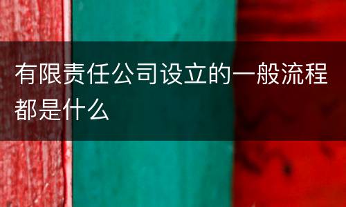 有限责任公司设立的一般流程都是什么