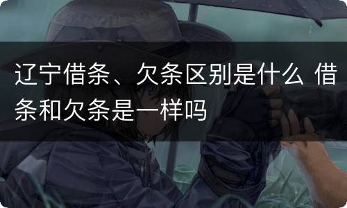 辽宁借条、欠条区别是什么 借条和欠条是一样吗