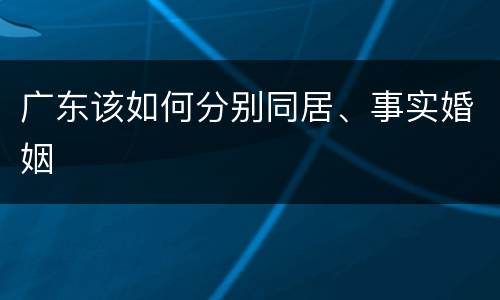 广东该如何分别同居、事实婚姻