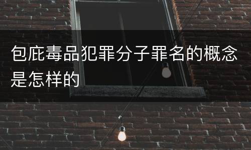 包庇毒品犯罪分子罪名的概念是怎样的