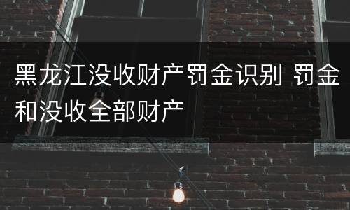 黑龙江没收财产罚金识别 罚金和没收全部财产