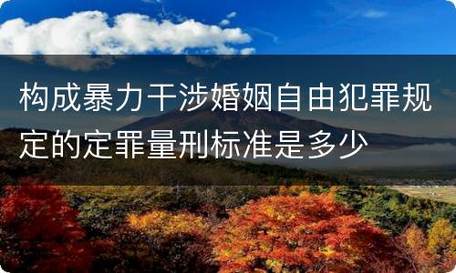 构成暴力干涉婚姻自由犯罪规定的定罪量刑标准是多少