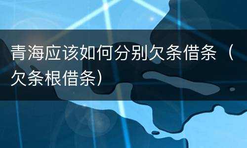 青海应该如何分别欠条借条（欠条根借条）