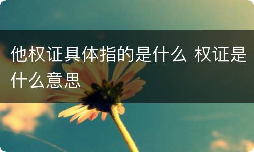 他权证具体指的是什么 权证是什么意思