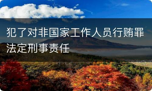 犯了对非国家工作人员行贿罪法定刑事责任