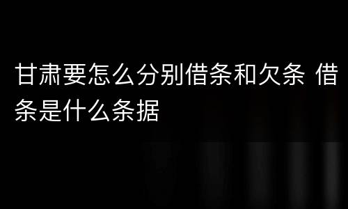 甘肃要怎么分别借条和欠条 借条是什么条据