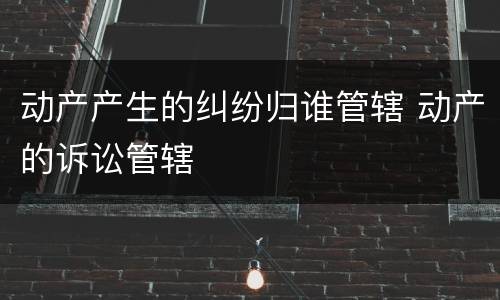 动产产生的纠纷归谁管辖 动产的诉讼管辖