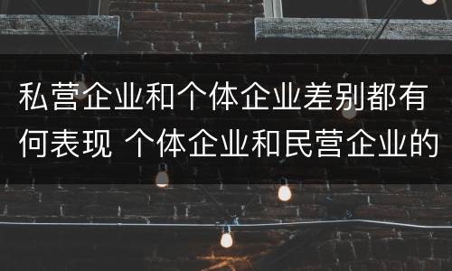 私营企业和个体企业差别都有何表现 个体企业和民营企业的区别