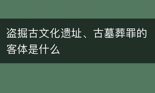 盗掘古文化遗址、古墓葬罪的客体是什么