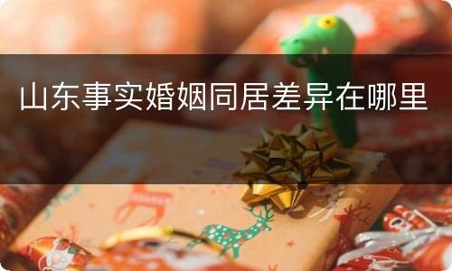山东事实婚姻同居差异在哪里