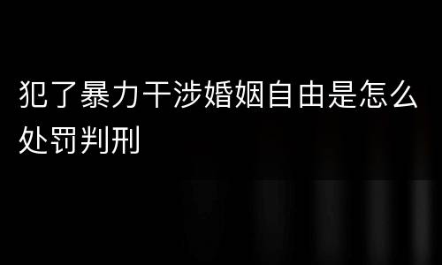 犯了暴力干涉婚姻自由是怎么处罚判刑