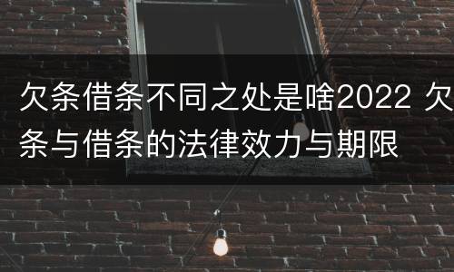 欠条借条不同之处是啥2022 欠条与借条的法律效力与期限