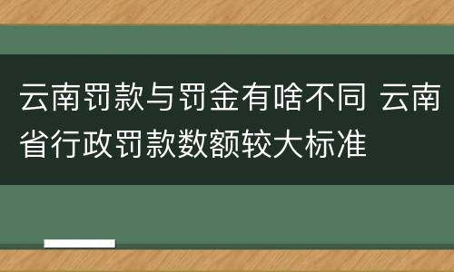 云南罚款与罚金有啥不同 云南省行政罚款数额较大标准