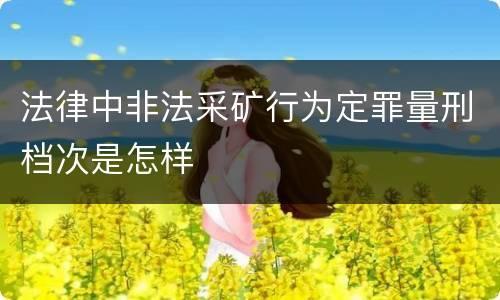 法律中非法采矿行为定罪量刑档次是怎样