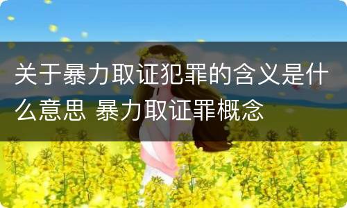 关于暴力取证犯罪的含义是什么意思 暴力取证罪概念