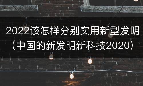 2022该怎样分别实用新型发明（中国的新发明新科技2020）