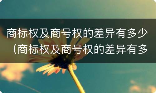 商标权及商号权的差异有多少（商标权及商号权的差异有多少个）