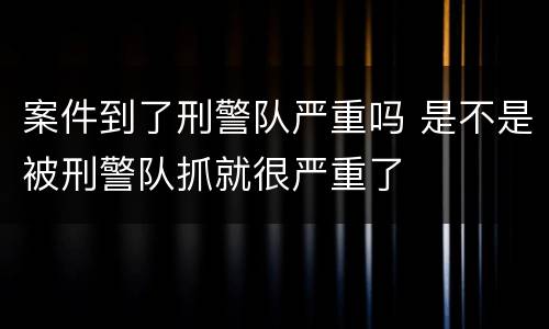 案件到了刑警队严重吗 是不是被刑警队抓就很严重了