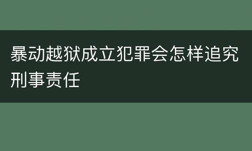 暴动越狱成立犯罪会怎样追究刑事责任