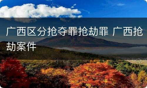 广西区分抢夺罪抢劫罪 广西抢劫案件