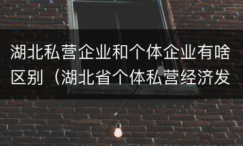 湖北私营企业和个体企业有啥区别（湖北省个体私营经济发展中心地址）