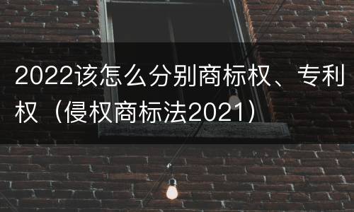 2022该怎么分别商标权、专利权（侵权商标法2021）