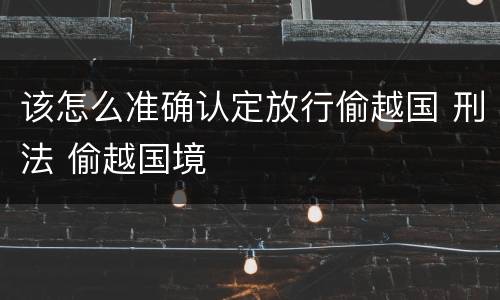 该怎么准确认定放行偷越国 刑法 偷越国境