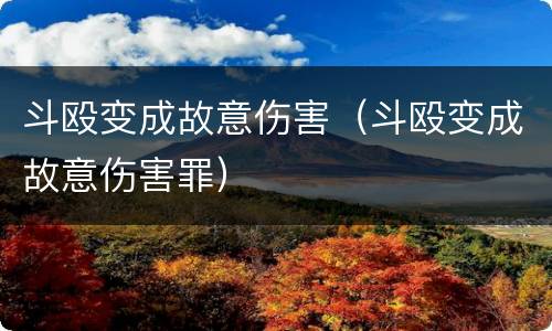 斗殴变成故意伤害（斗殴变成故意伤害罪）