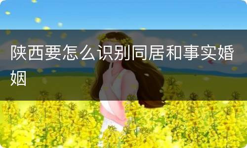 陕西要怎么识别同居和事实婚姻