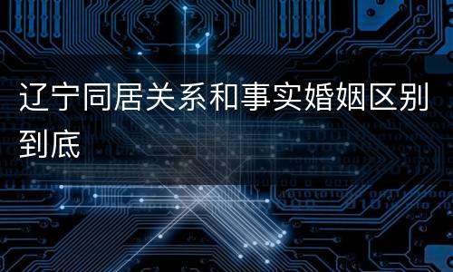 辽宁同居关系和事实婚姻区别到底