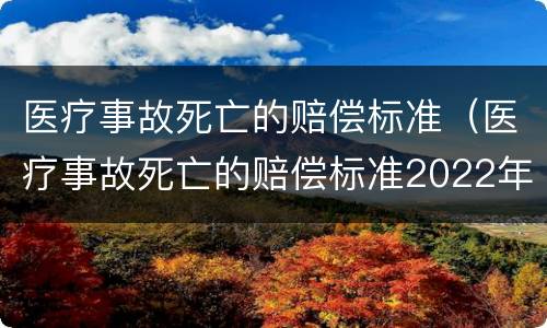 医疗事故死亡的赔偿标准（医疗事故死亡的赔偿标准2022年）