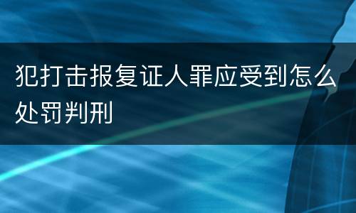 犯打击报复证人罪应受到怎么处罚判刑
