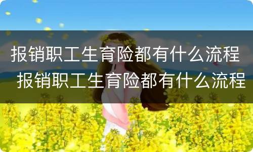 报销职工生育险都有什么流程 报销职工生育险都有什么流程呢