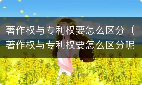 著作权与专利权要怎么区分（著作权与专利权要怎么区分呢）