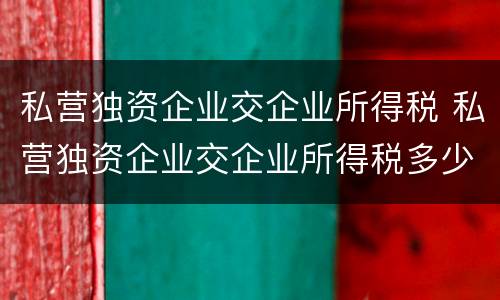 私营独资企业交企业所得税 私营独资企业交企业所得税多少