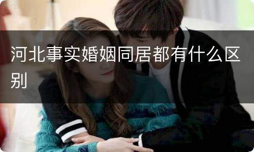河北事实婚姻同居都有什么区别