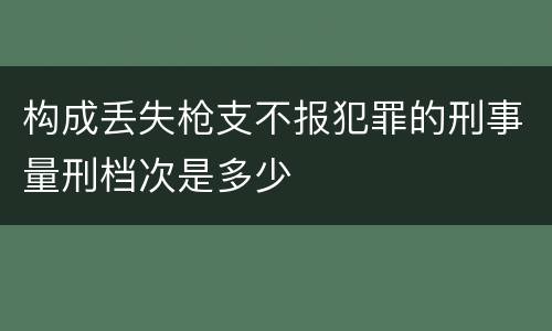 构成丢失枪支不报犯罪的刑事量刑档次是多少