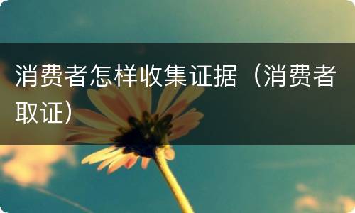 消费者怎样收集证据（消费者取证）