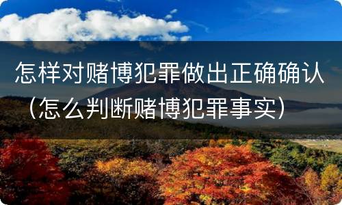 怎样对赌博犯罪做出正确确认（怎么判断赌博犯罪事实）