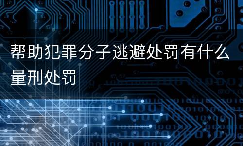帮助犯罪分子逃避处罚有什么量刑处罚