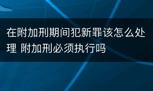 在附加刑期间犯新罪该怎么处理 附加刑必须执行吗