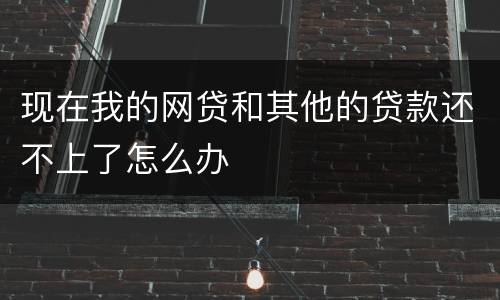 现在我的网贷和其他的贷款还不上了怎么办
